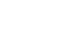 Kievit Transport Service